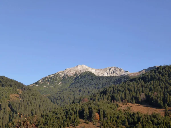 Vandringstur Till Pleisspitze Berg Tyrolen Österrike — Stockfoto