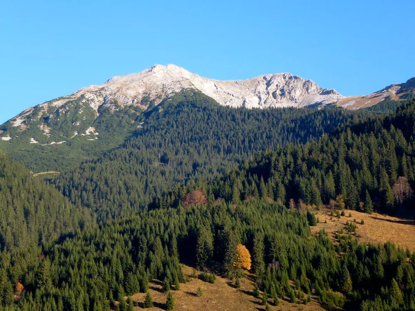 Escursione Alla Montagna Pleisspitze Tirolo Austria — Foto Stock