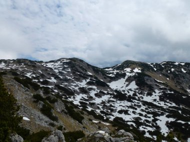 Yaz mevsiminde Avusturya 'nın Tyrol kentinde dağ yürüyüşü turu