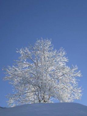 Hoher Frassen dağına kış yürüyüşü turu, Raggal, Avusturya
