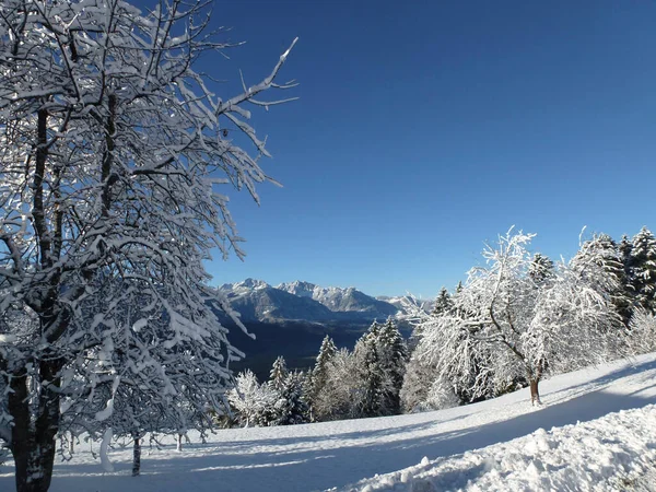 Randonnée Hivernale Vers Montagne Hoher Frassen Raggal Autriche — Photo