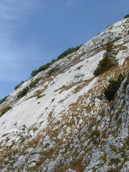 Randonnée Pédestre Ross Buchstein Montagne Tegernsee Bavière Allemagne — Photo