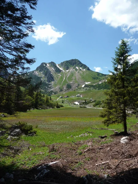 Rotwand Berg Från Ruchenkopfe Berg Bayern Tyskland — Stockfoto