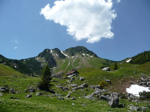Rotwand Van Het Ruchenkopfe Gebergte Beieren Duitsland — Stockfoto