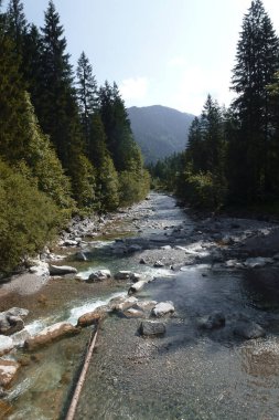 Almanya, Bavyera 'daki Schildenstein Dağı' na dağ yürüyüşü turu