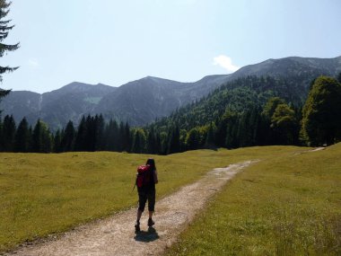 Almanya, Bavyera 'daki Schildenstein Dağı' na dağ yürüyüşü turu