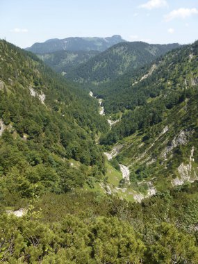 Almanya, Bavyera 'daki Schildenstein Dağı' na dağ yürüyüşü turu