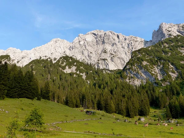 Гора Шеффауер Через Феррату Тіроль Австрія — стокове фото