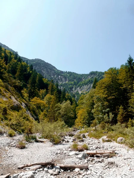 前往德国巴伐利亚Schildenstein山登山之旅 — 图库照片