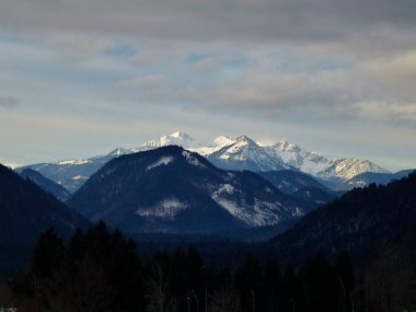 Almanya, Bavyera 'daki Schonberg dağına kış yürüyüşü turu