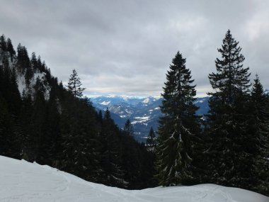 Almanya, Bavyera 'daki Schonberg dağına kış yürüyüşü turu