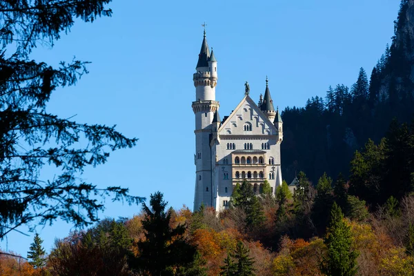 Castelo Neuschwanstein Baviera Alemanha Outono — Fotografia de Stock
