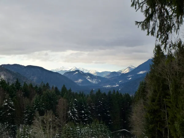 Escursione Invernale Alla Montagna Schonberg Baviera Germania — Foto Stock