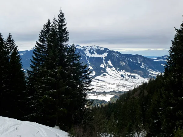 Almanya Bavyera Daki Schonberg Dağına Kış Yürüyüşü Turu — Stok fotoğraf