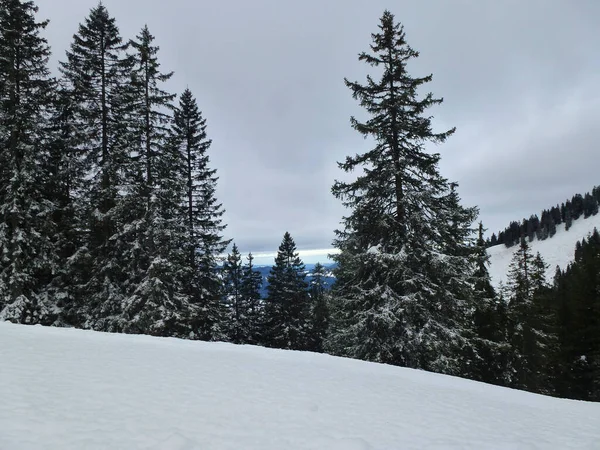 Escursione Invernale Alla Montagna Schonberg Baviera Germania — Foto Stock