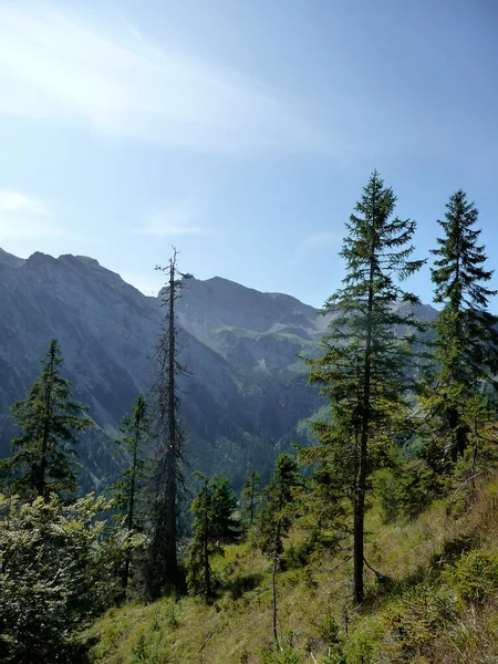 Yaz Mevsiminde Almanya Bavyera Schottelkarspitze Dağı Nda Yürüyüş Turu — Stok fotoğraf