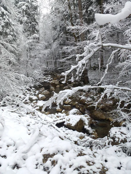 冬の山岳ツアー Seekarkreuz Bavania Germany — ストック写真