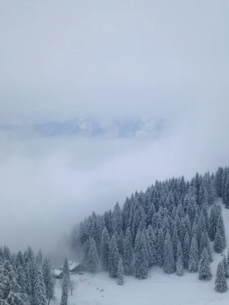 Tour Invierno Montaña Seekarkreuz Baviera Alemania —  Fotos de Stock