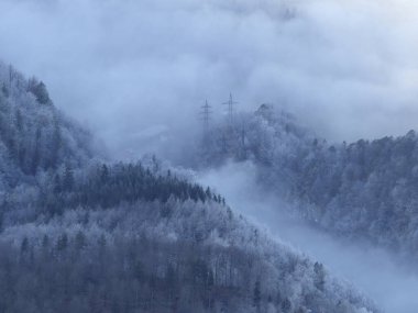 Kış mevsiminde yukarıdan sisli orman