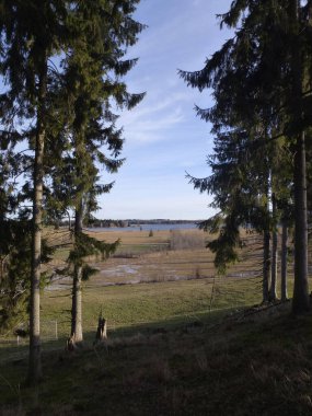 Almanya, Bavyera 'daki Staffelsee Gölü