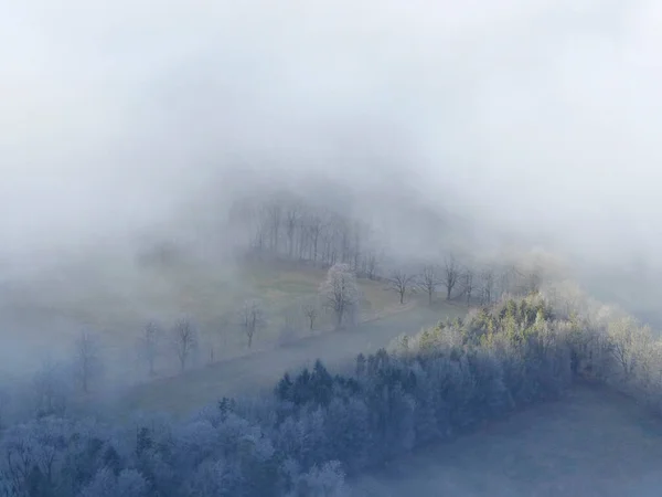 Mlhavý Les Zimě Shora — Stock fotografie