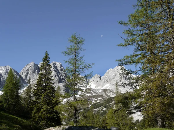 Passeio Montanha Ehrwalder Sonnenspitze Montanha Áustria — Fotografia de Stock