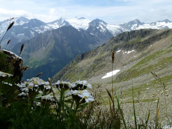Stubai Výšková Turistická Stezka Kolo Tyrolsku Rakousko — Stock fotografie