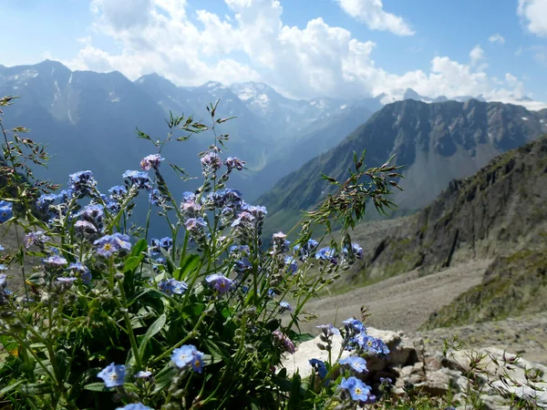 Stubaier Höhenwanderweg Runde Tirol Österreich lizenzfreie Stockfotos