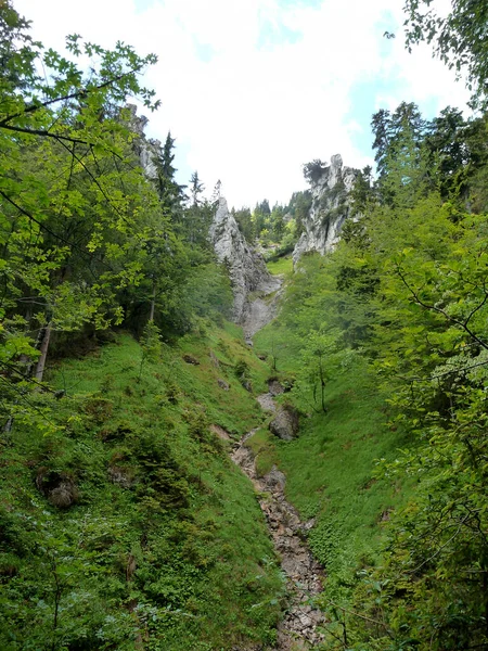 Montagne Teufelstattkopf Randonnée Bavière Allemagne — Photo