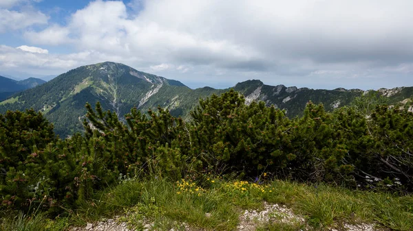 Heimgarten Cresta Montagna Baviera Germania Estate — Foto Stock