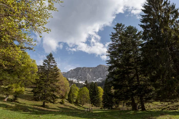 Gamma Montuosa Benediktenwand Baviera Germania Primavera — Foto Stock