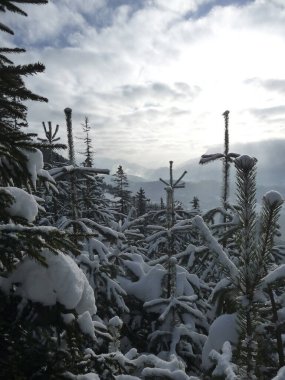 Bavyera Alplerindeki dağ manzarası, kışın