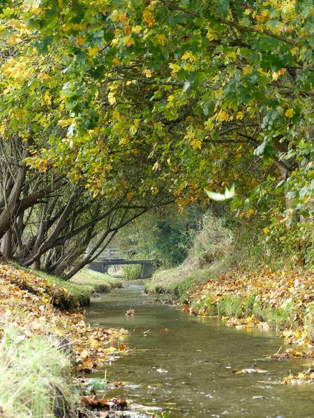 Bike Path Wurmtal Bavaria Germany — Stock Photo, Image