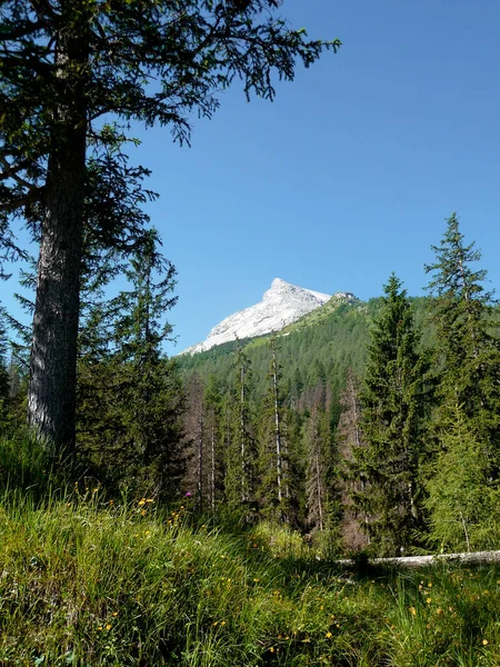 Escursioni Montagna Watzmann Baviera Germania — Foto Stock