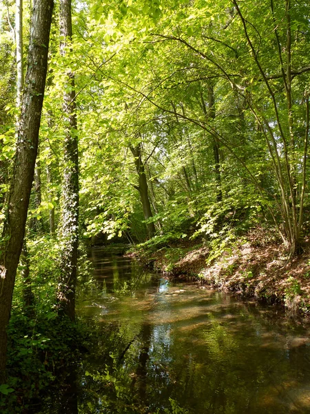 Almanya, Bavyera 'da bisiklet yolu Wurmtal