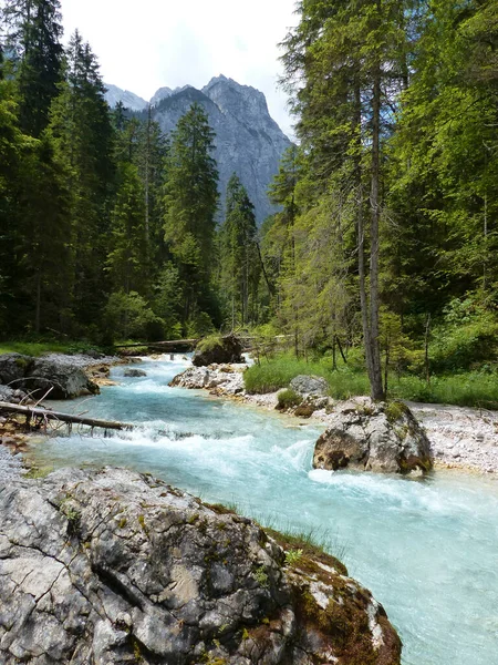 Río Partnach Cañón Partnachklamm Reintal Garmisch Partenkirchen Baviera Alemania —  Fotos de Stock
