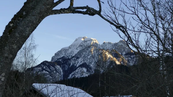 Bavyera Almanya Daki Forggensee Gölü — Stok fotoğraf