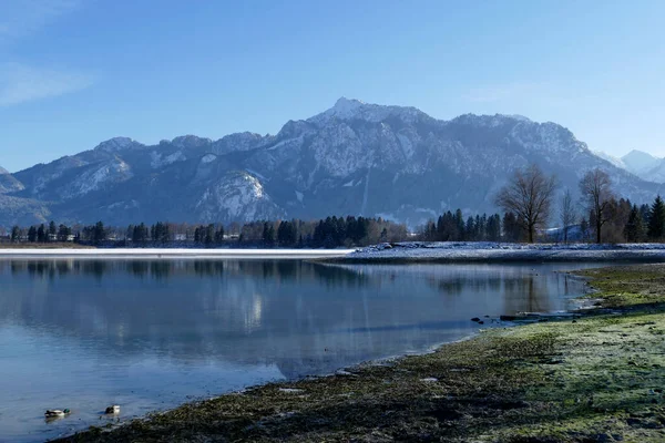Lago Forggensee Baviera Alemania — Foto de Stock