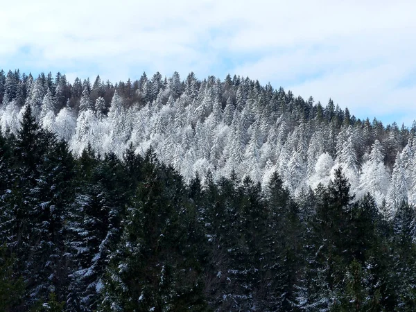 Bergwanderung Zum Seekarkreuz Bayern Deutschland — Stockfoto