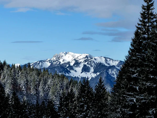 Escursione Montagna Alla Montagna Seekarkreuz Baviera Germania — Foto Stock