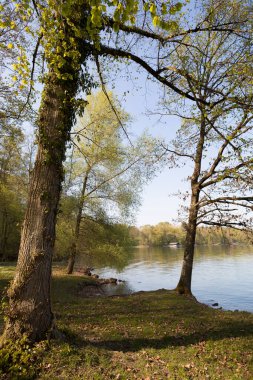 Starnberger Gölü Almanya, Bavyera 'da