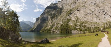 Almanya, Bavyera 'daki Obersee Gölü manzarası