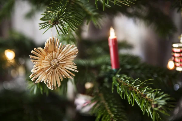 Straw stars on a christmas tree — Stock Photo, Image