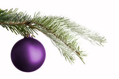 Mor Noel top karlı dal