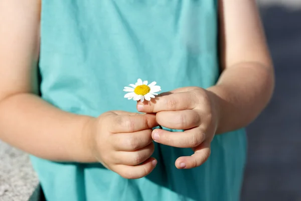 Liten flicka håller vackra daisy i sin hand — Stockfoto