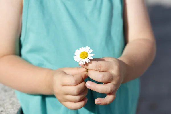 Small girl holds beautiful daisy in her hand — Stock Photo, Image