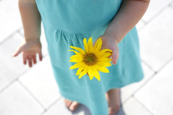 Small girl holds beautiful sunflower in her hands — Stock Photo, Image