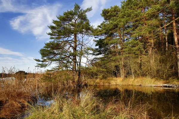 HDR capture of a lake in Bavaria in autumn — Stock Photo, Image