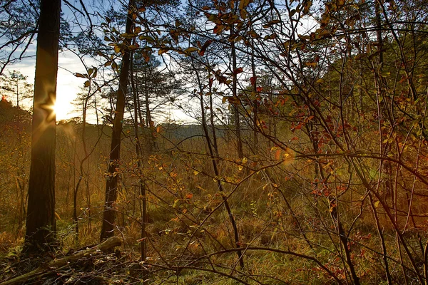 HDR capture of an autumnal landscape in Bavaria — Stock Photo, Image