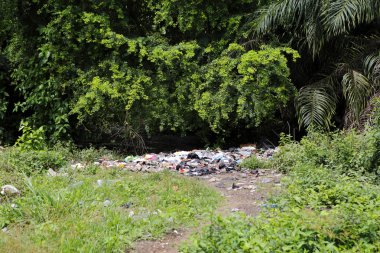 Ağaçlar ve avuç içi arasında düzenli depolama